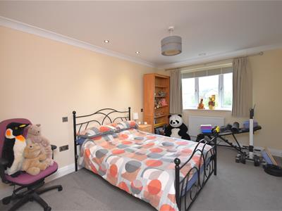 Picture 24